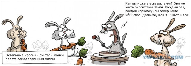 Мне жалко ёлки