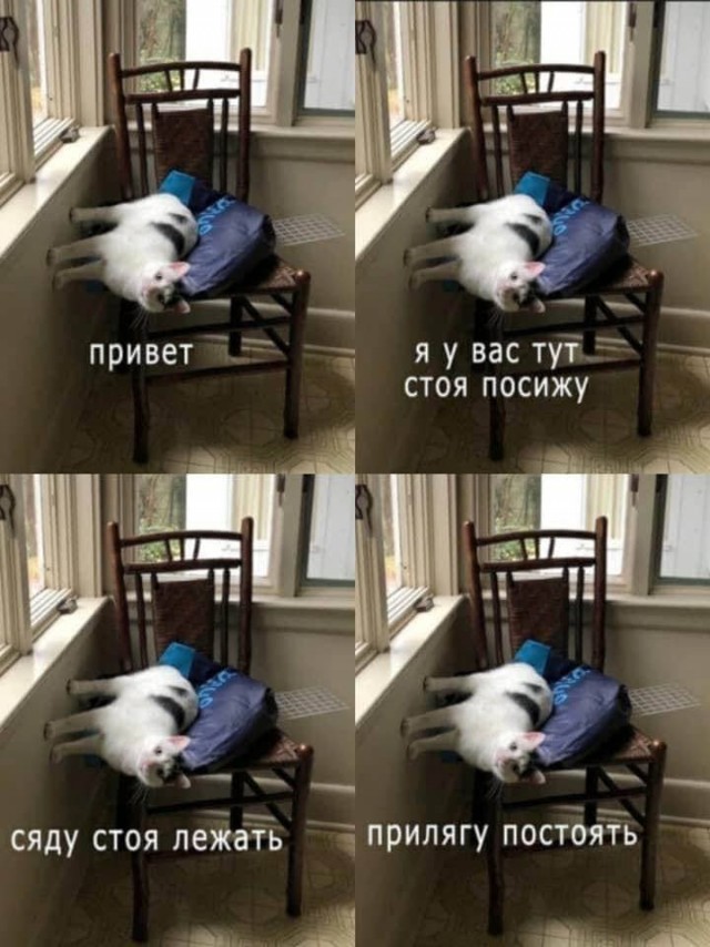 Едрить - колотить!