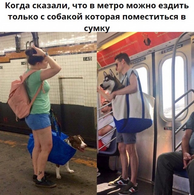 Так себе картинки 21.03.21