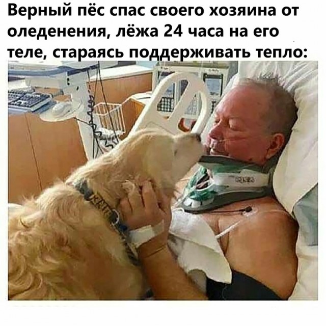 Картинки и мемы для настроения 02.06.2021