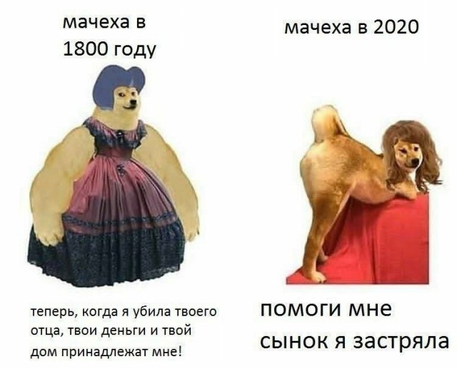 Весёлый полтишок 23.07