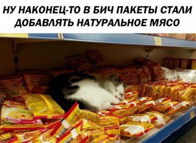 Юмор в картинках 24.08.21