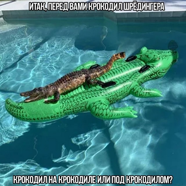 Картинки и мемы для настроения 26.10.2021