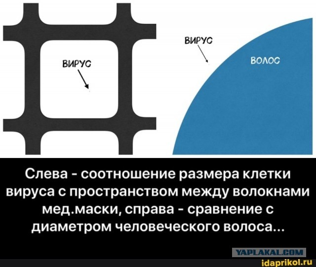 В магазин с пропуском и паспортом... И немного о зловещей «теории заговора» в финале
