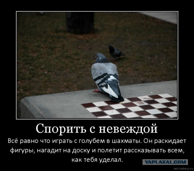 Юрист "закопал" известных РСПшек