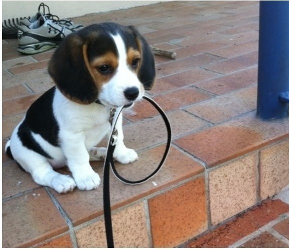 40 картинок разных 31.03.2022