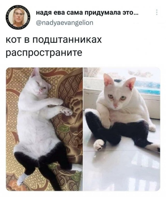 Картинки и мемы, всем хороших выходных