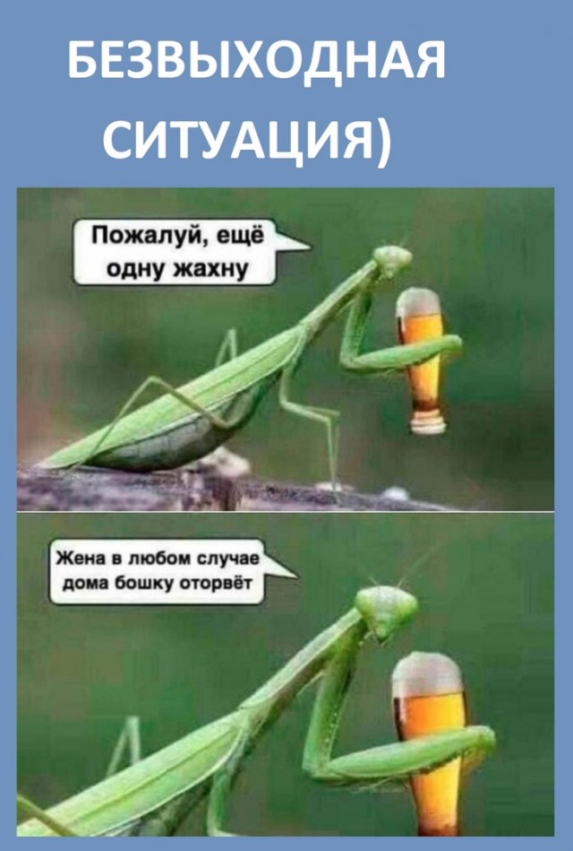 Так себе картинки 20.06.22