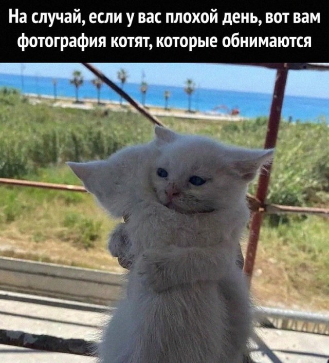 Немного картинок для настроения - 131