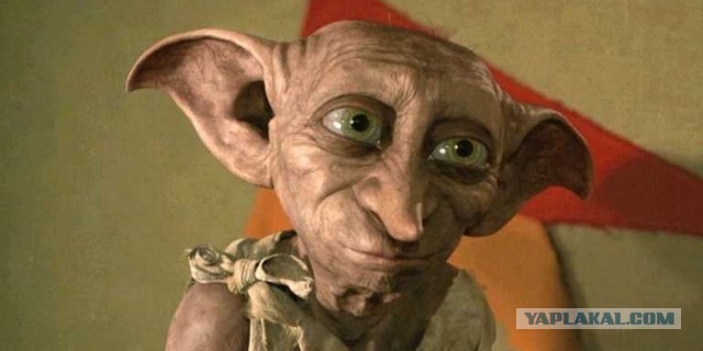 Котик