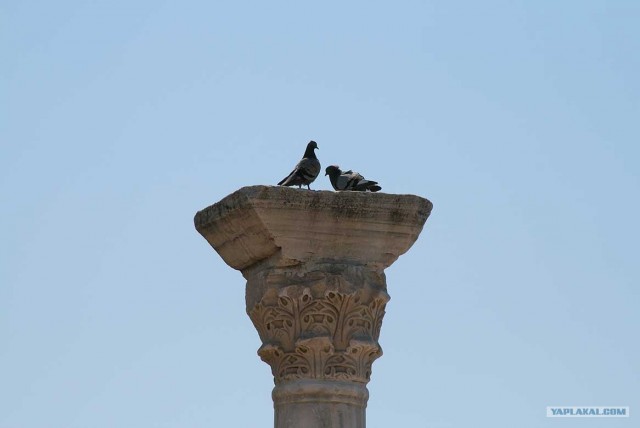 Южный берег Крыма