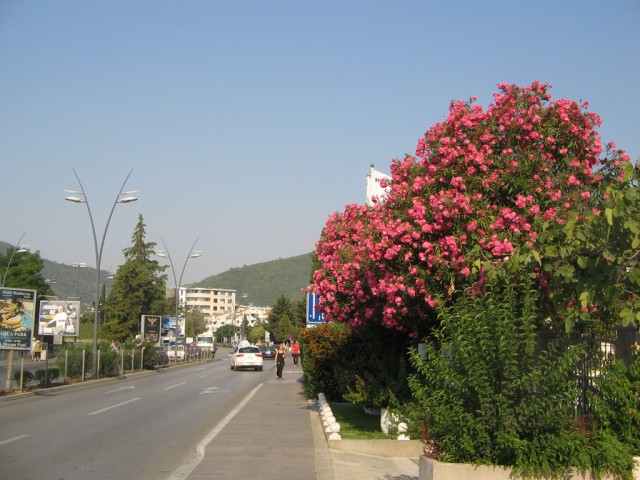 Отдых в Черногории (сентябрь 2012)