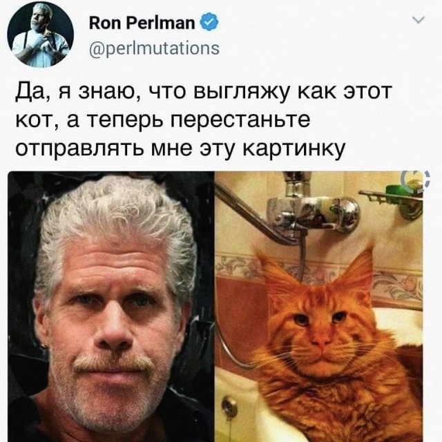 6 кг доброты и независимости
