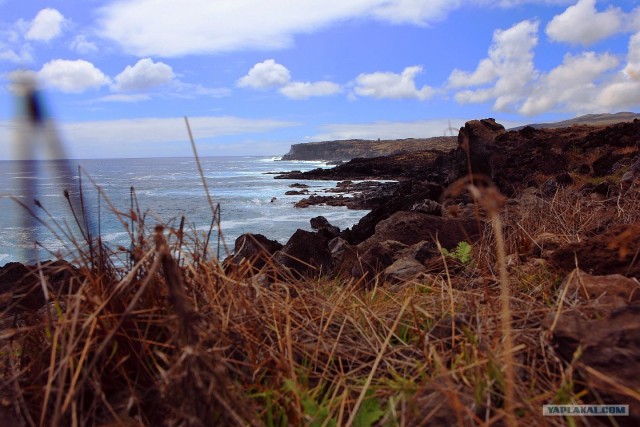 Южно-Американский дневник. остров Пасхи