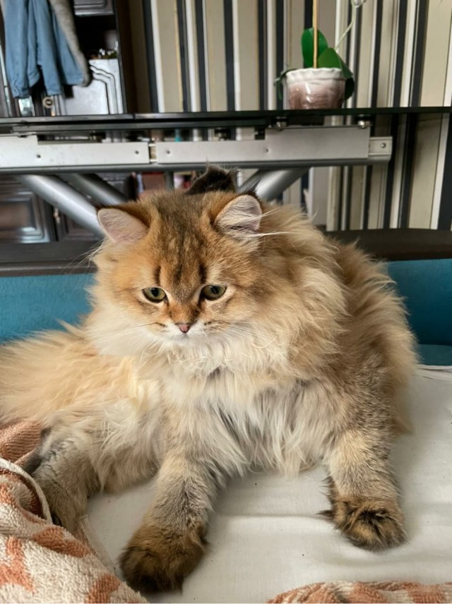 Котя убаюкивает малыша