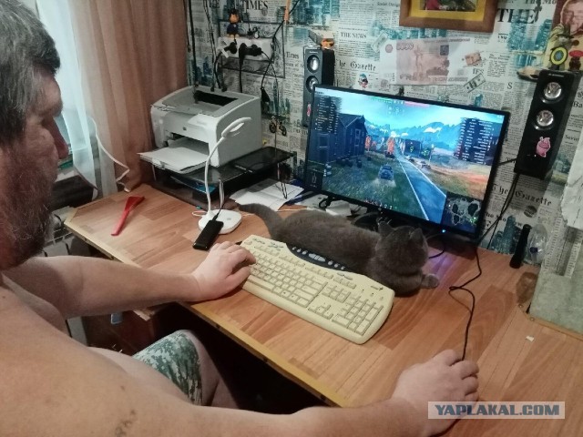 Ну и как тут быть?!
