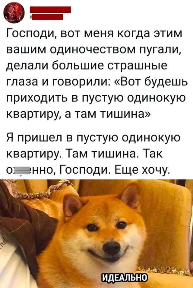 Так себе картинки 22.01.23