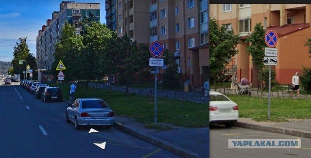 А что, тоже корм! Ловушки эвакуаторщиков