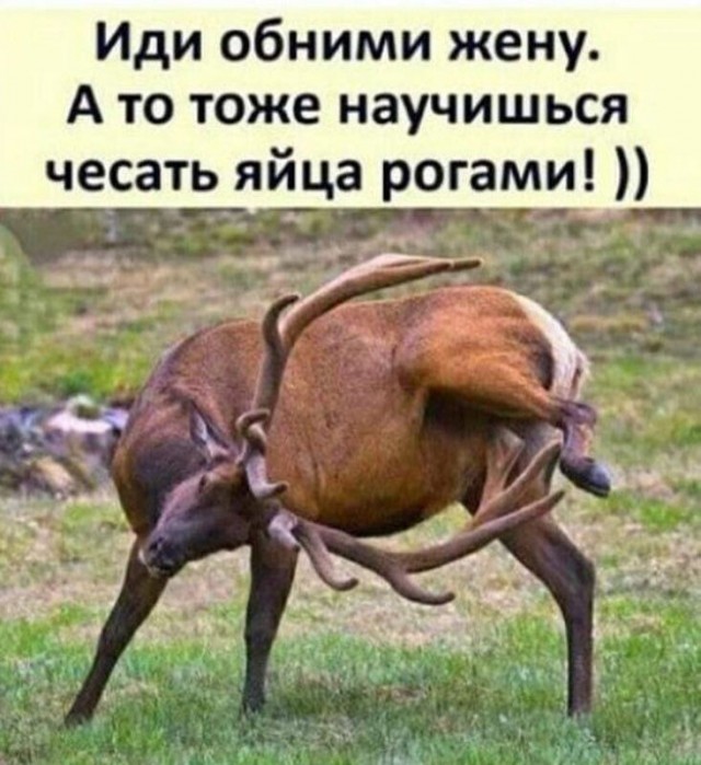 То, что видели мои друзья. Отправленные картинки за несколько лет