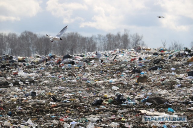 В Москве изменили место строительства "огромной" мечети