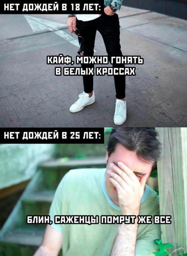 Весёлый полтишок 08.05.23