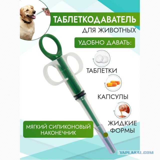 Демократия в опасности!
