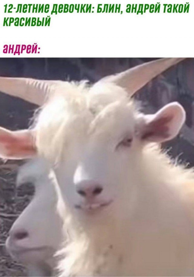 Отряд быстрого деградирования