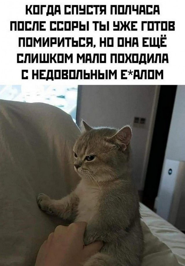 Нуштош 11.09.2023