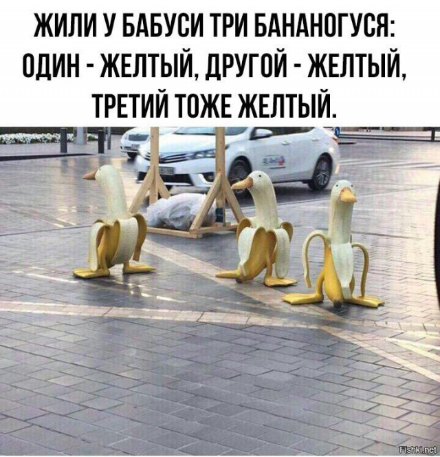 Гусь вялый