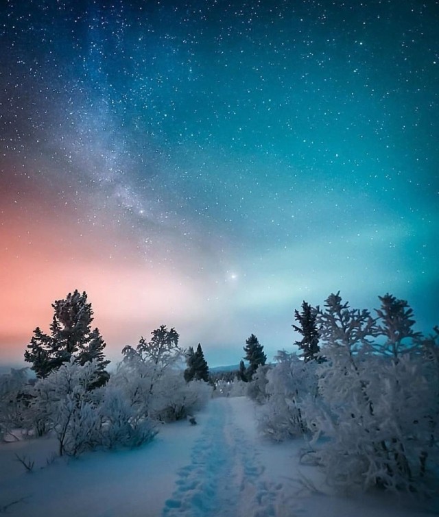 Зимняя красота