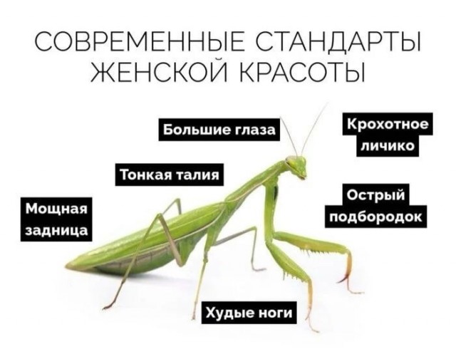 Невероятные приключения