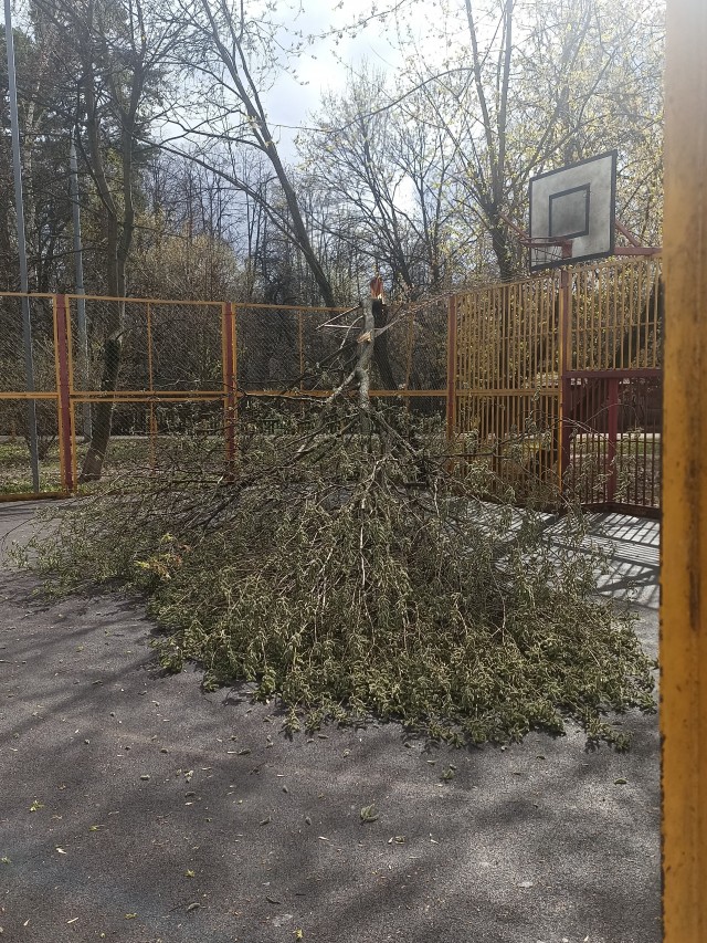 Ветер в Москве начинает шалить и разбирать дома по кусочкам. В городе начинается шторм