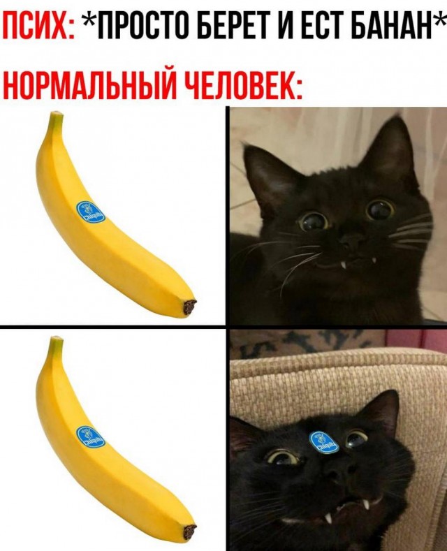 Прикольные и просто красивые картинки 28.06.2024