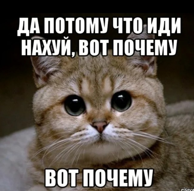 Не проскочил за "скорой" и ущемился