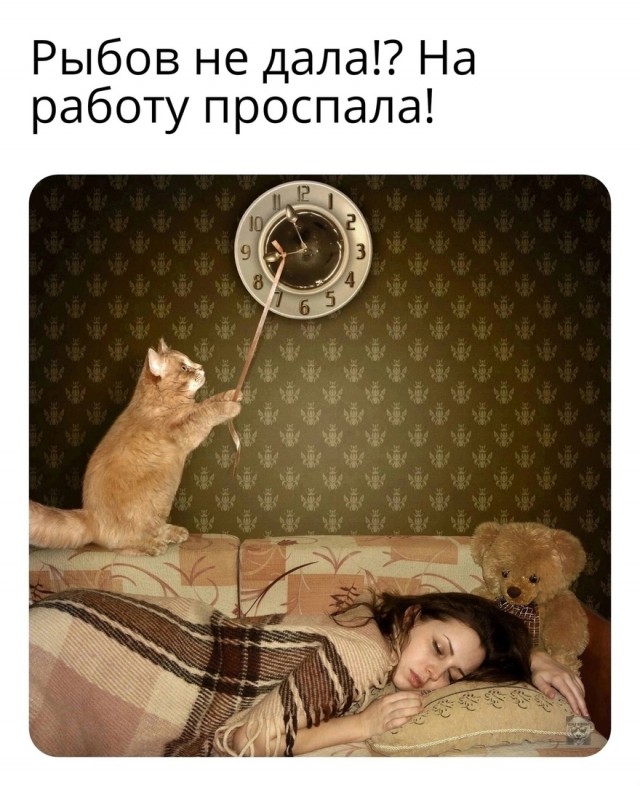 Так себе картинки 22.07.24