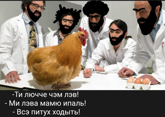 Мусульманин о кочетах