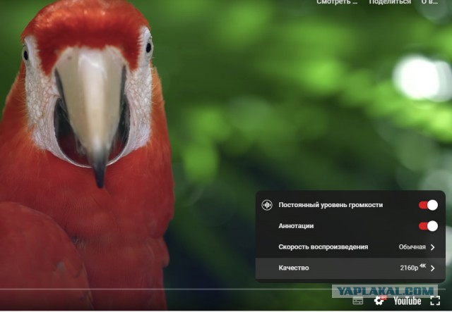 ТАСС. YouTube перестал воспроизводить видео в высоком разрешении почти во всех браузера в РФ