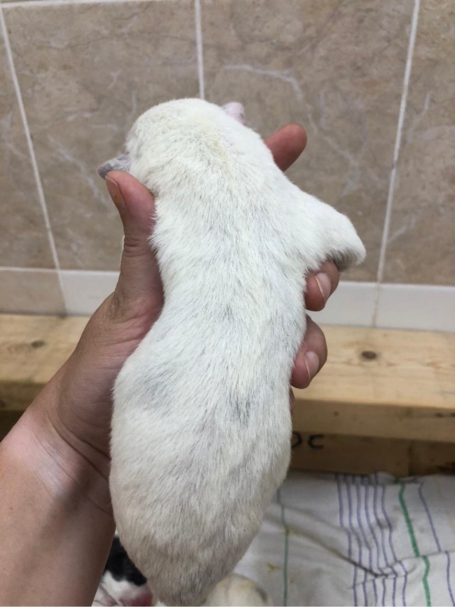 Аист прилетал❤️