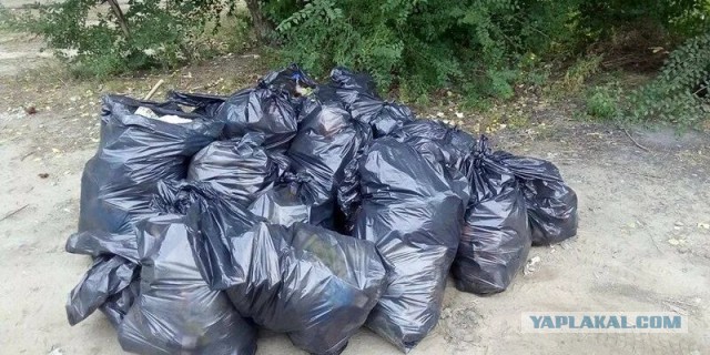 Главное не перепутать рецепты приготовления взрывчатки и масла
