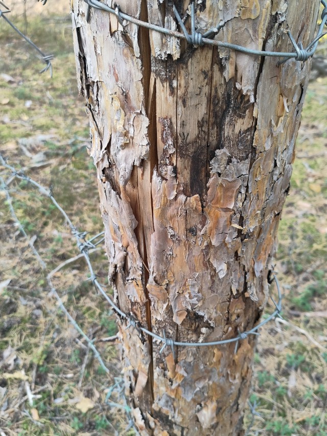 Осень на озёрах
