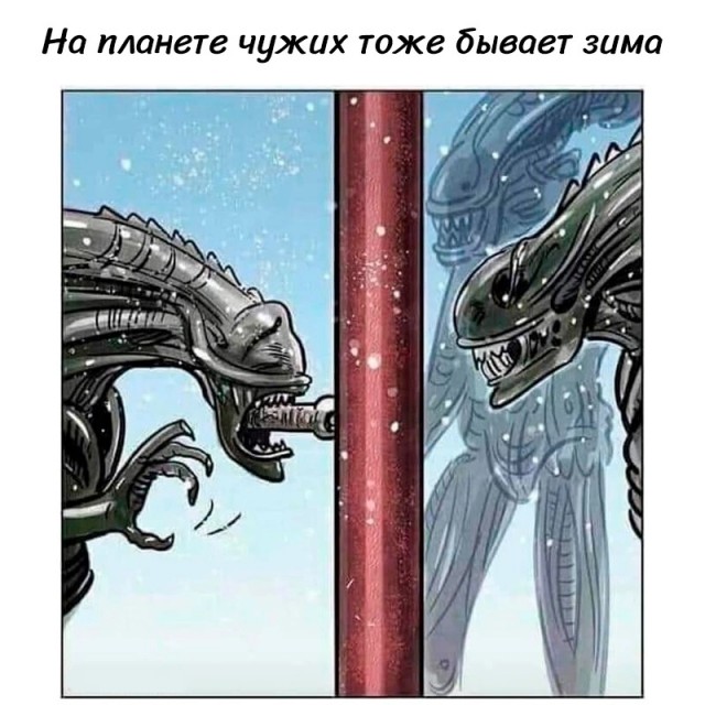 Так себе картинки 01.11.24