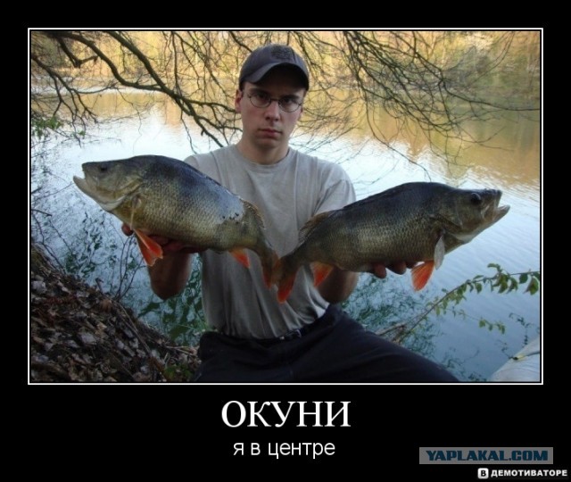 Окуни по 4,5 кг