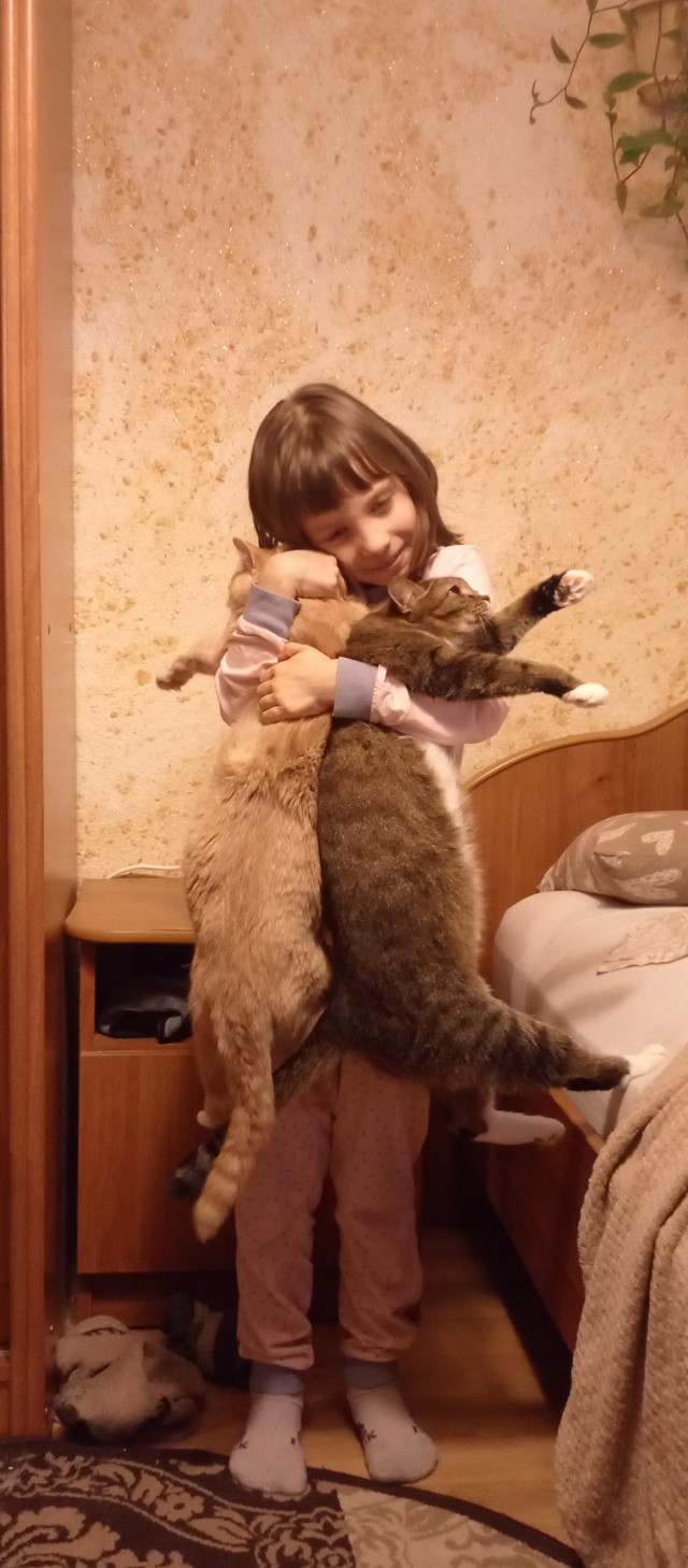 Старенький котик очень любит маленькую девочку