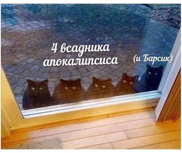 Так себе картинки 06.03.25