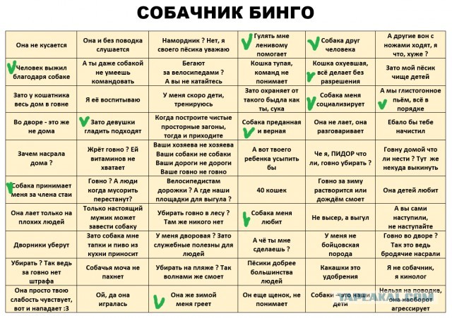 Краснодарский край не стал принимать закон, разрешающий умерщвлять бродячих собак⁠⁠