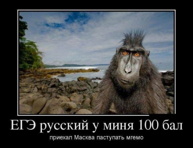 Чудеса зарубежного вождения в Самаре