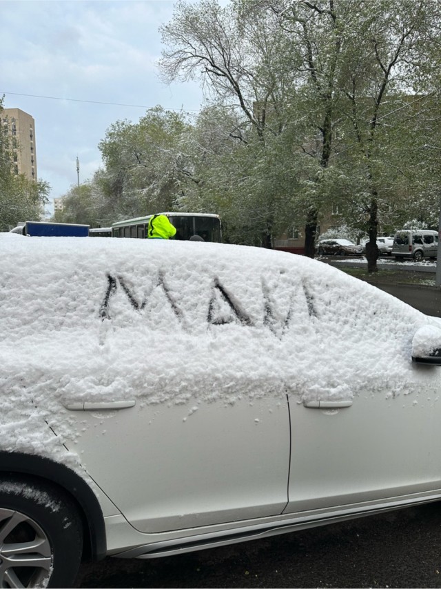 Сходил в магазин?