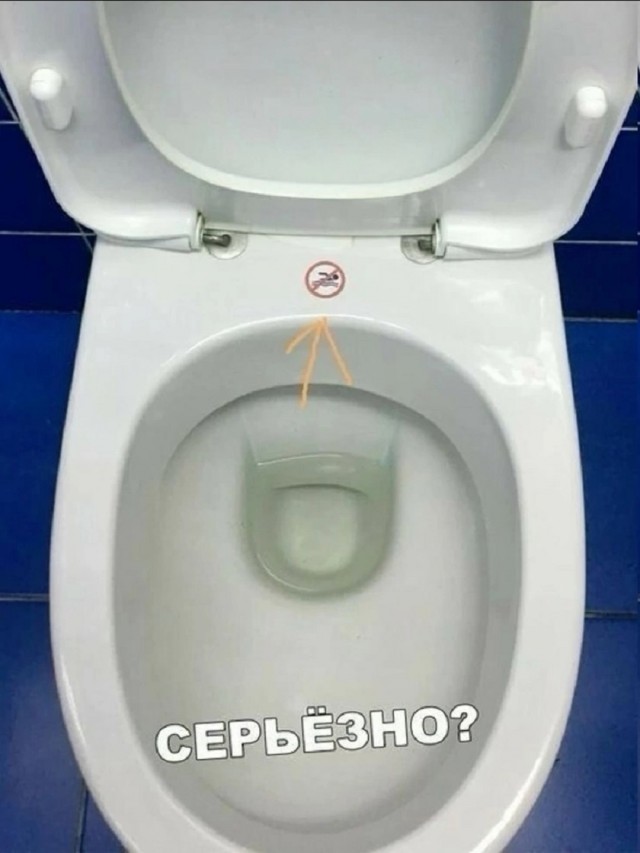 Так себе картинки 29.08.25