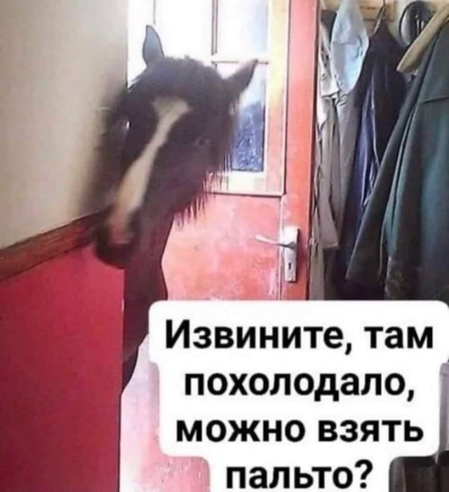 Прикольные и просто красивые картинки 23.09.2025