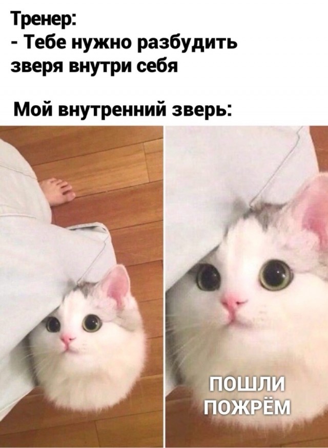 Картинки для деградации 62 (разной степени свежести)